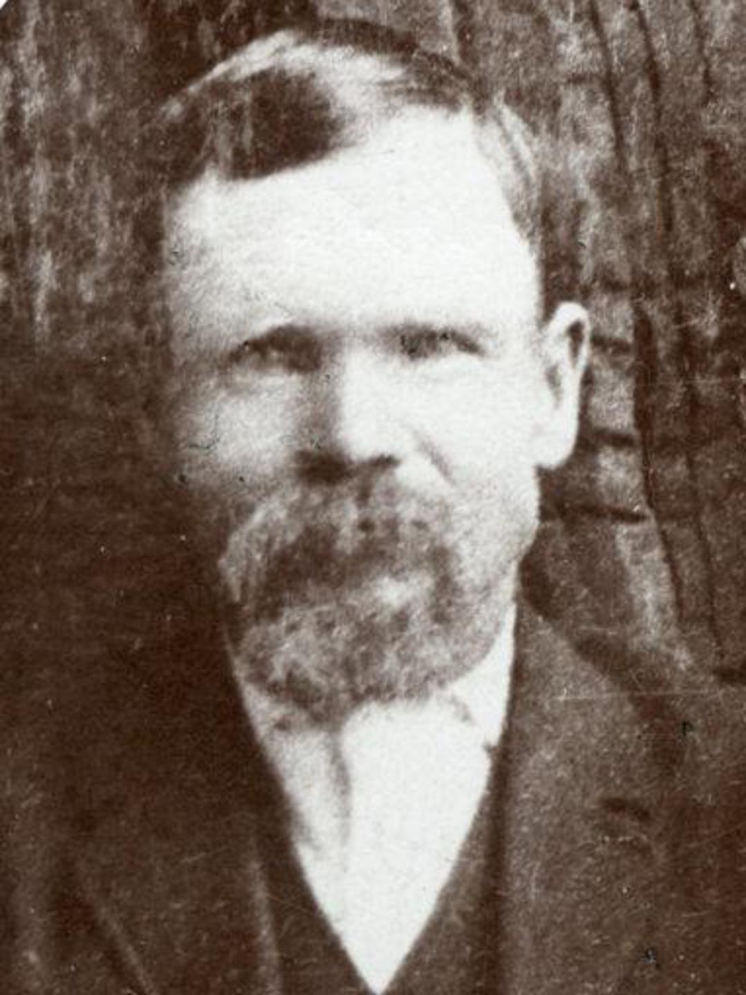 Andrew Borgeson (1832 - 1902) Profile